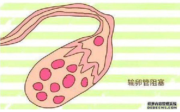 重庆供卵试管联系方式 2022年重庆其他能做试管的医院 ‘生男孩的乳晕特征图片’