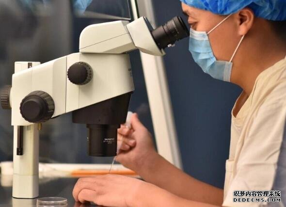 2022深圳生育津贴多少钱 深圳北大医院做供精试管费用多少? ‘25周四维女宝翻盘实例’