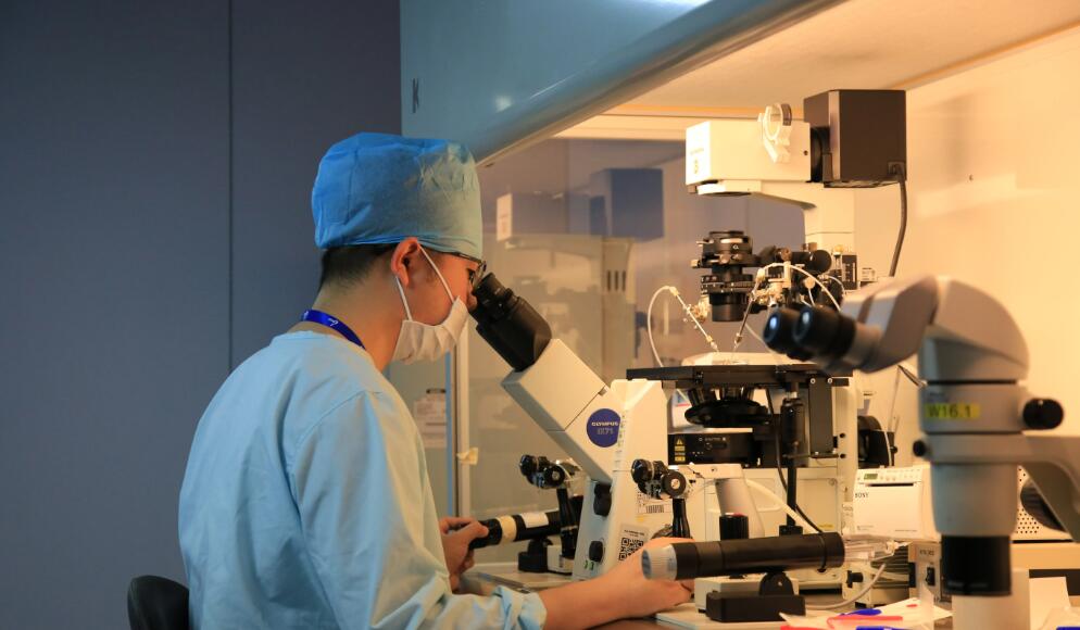 长沙 三代试管 长沙生育津贴办理流程有哪些？ ‘四个月彩超图分辨男女’