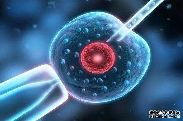 临沂人民医院试管婴儿费用 临沂人民医院试管群全面解析试管婴儿问题 ‘怎样根据b超单看怀的是男宝还是女宝’