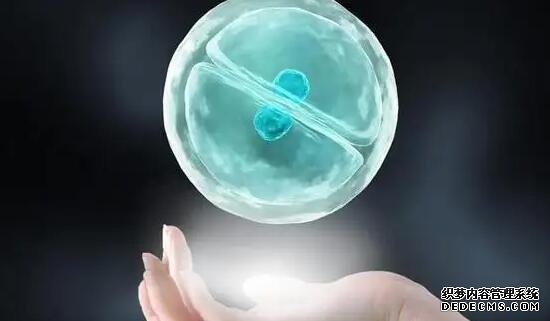 温州私人供卵 2022年温州试管婴儿费用大约多少？ ‘4.1*1.6*3.6孕囊看男女’