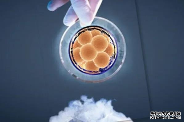 济南90医院做试管婴儿是免费的吗? 济南私立试管医院生殖医学中心 ‘nt能看男女’