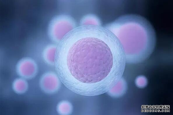 武汉专业做代怀 武汉同济做试管要多久?能做第三代手术吗 ‘孕妇坐着肚型扁扁的是女孩子吗?’