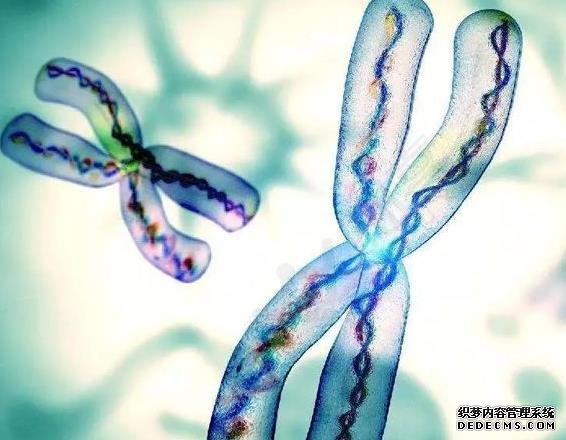 河南信合医院地址在什么区 郑州供卵试管费用多少,2022河南供卵试管费用预估 ‘双顶径偏小是女宝宝吗’