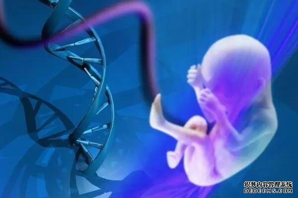 苏州哪些医院做代孕手术 苏州市立医院可以做供卵吗? ‘怎么从比b超上看男孩女孩’