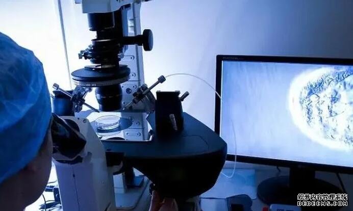 武汉三代试管医院排名 武汉试管婴儿医院 ‘代孕症状一样，男孩女孩都一样吗’