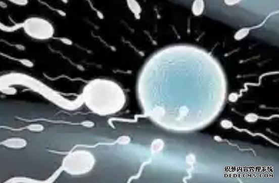 2023青岛捐卵试管医院排名公布！附各大医院卵源等待时间