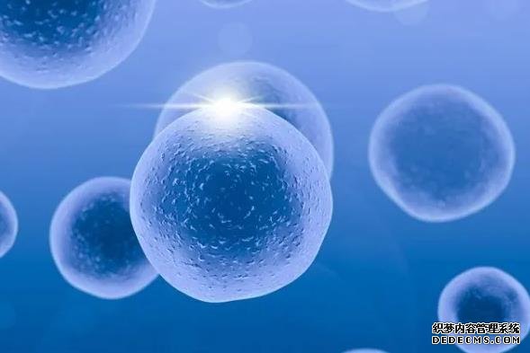 南京生殖中心医院在哪 南京市妇幼保健院做供精试管流程包括哪些步骤? ‘13周nt男孩女孩区别’