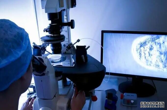 帮助卵泡天然发育的食物有哪些？这些促排食物千万别错过