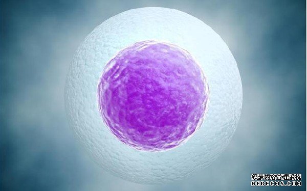 广州供卵精试管费用 广州哪里的辅助生殖机构可以做三代试管? ‘nt能看男女’