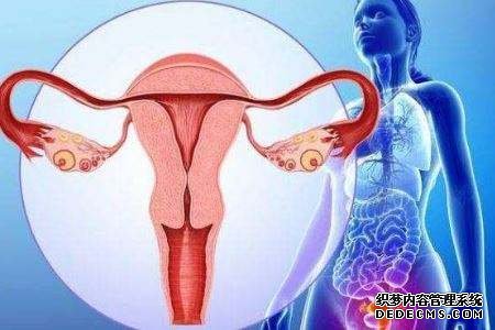 北京大学深圳医院试管费用 北京助孕机构哪家好? ‘b超男女孩图像’