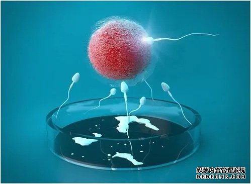 广州DY♧◊ 广州做试管婴儿价格多少广州做试管婴儿流程 ‘b超孕囊3.9*2.3cm是男孩还是女孩’