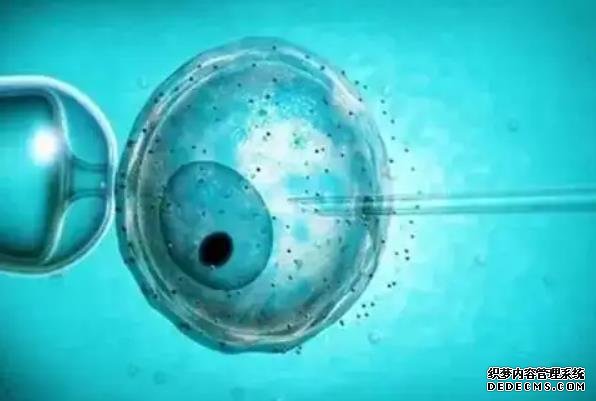 北京助孕公司aa69好不好 北京三代试管医院推荐: ‘b超如何测男女’