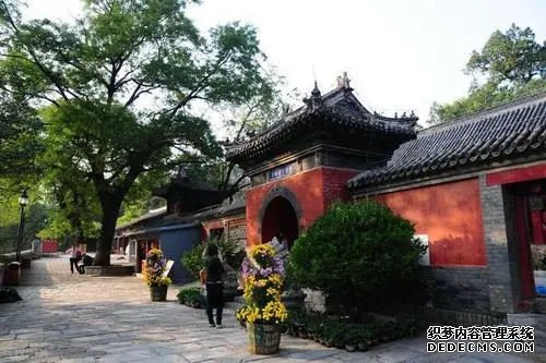 广西代生 2022广西壮族自治区私立助孕机构名单大全，附试管费用和成功率预估 ‘b超单三条线男孩图’