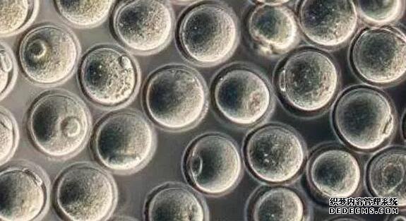 成都供卵试管网qq群 2022成都试管婴儿生男孩医院排名榜，包括成功率和费用介绍。 ‘代孕做b超多盖一处房确定是男孩吗’