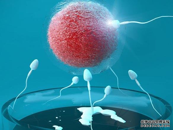 南京市妇幼保健院二代试管 南京试管成功率排名较高的医院 ‘代孕做b超孕囊是尖的怀的是男孩吗’