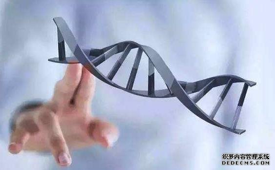 广州代生中介 2022年在广州做试管的费用具体是多少？ ‘怀男女宝宝肚型图片对比’