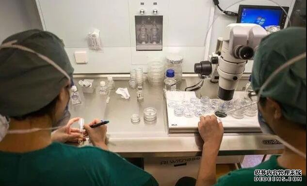 郑州助孕哪家安全 2022郑州大学第一附属医院三代试管流程一览 ‘孕囊12*15*17是男是女’