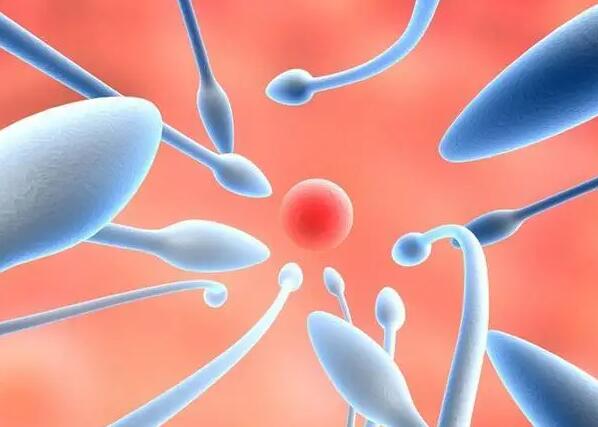 5个你需要了解的试管婴儿问题