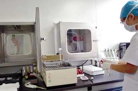 上海复旦大学附属中山医院做试管婴儿费用要多少钱？成功率高吗？