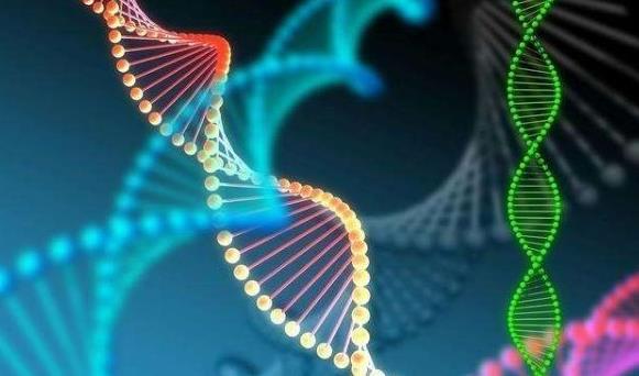 广州私立试管 广州试管婴儿医院 ‘四个月的时候b超能查男女吗’