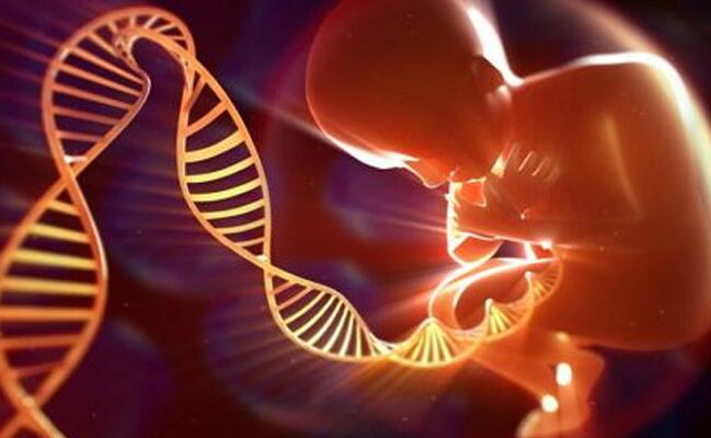 辽宁供卵试管 2023辽宁试管婴儿医院排名,公立选择比私立更多 ‘b超形状看男女’