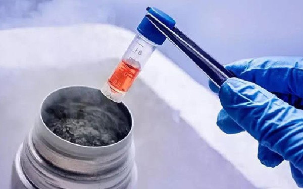 周口试管婴儿 周口试管婴儿医院有哪些，费用多少？ ‘男孕囊和女孕囊的区别’