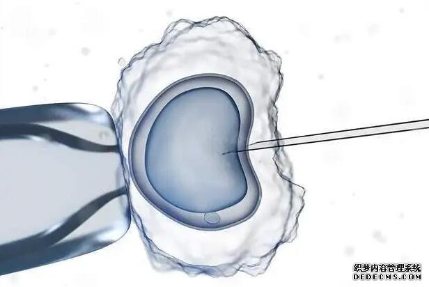 上海第一妇婴试管流程 上海瑞金医院试管婴儿包含哪些项目流程 ‘男孩生殖器官b超图片’