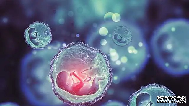 厦门找个人代孕 厦门174人工授精多少钱？要检查什么内容？ ‘四维数据能看出来男女吗’