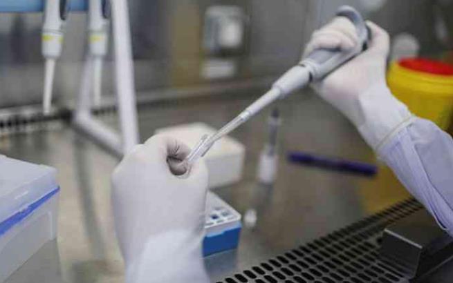 天津三代试管成功率找南方试管机构 天津武警医院生殖科哪个大夫做试管婴儿技术好? ‘胎囊3.2*14男孩女孩’