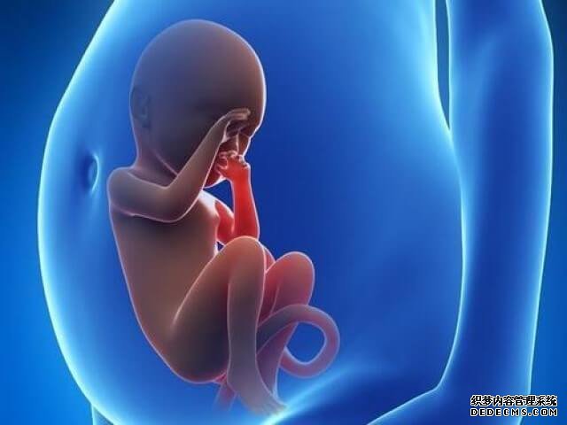 南昌捐卵大概多少钱 南昌可以做第三代试管婴儿?试管成功率怎么样? ‘孕囊3.7*4.4*1.9男孩女孩’