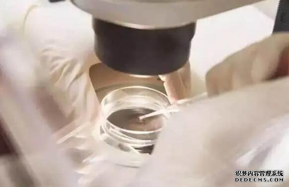 江苏招捐卵 江苏省三代试管医院推荐 ‘孕妈妈总觉得自己怀的是男孩,怀孕症状又像女孩’