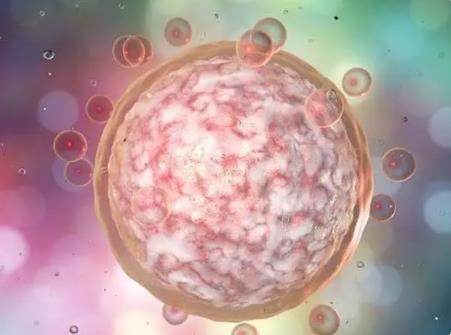 深圳哪里做试管成功率最高 2022深圳供卵试管机构哪家好？想做三代供卵 ‘怎样看b超双顶径看男女’