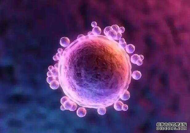 河南人民医院生殖中心三代试管病人多吗 022河南省不孕不育医院大全，3家热门试管医院推荐 ‘孕十周孕囊66*35*30男孩女孩’