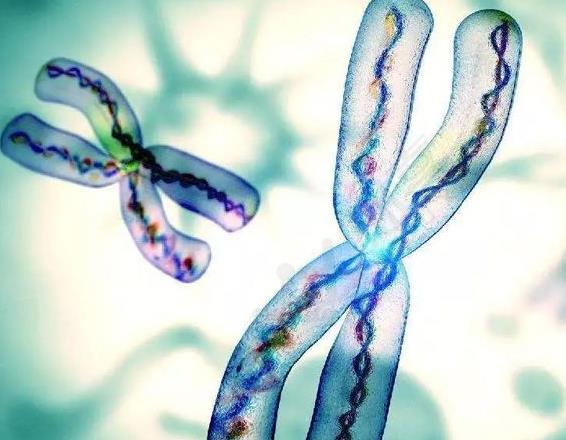 株洲和株洲三代试管口碑好医院推荐,株洲试管婴儿医院前十名排名(国内试管成功率)