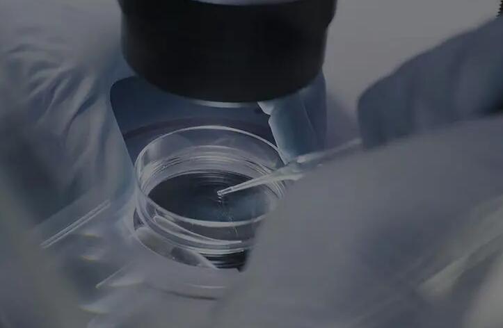 遵义试管供卵 遵义医学院附属医院可以做试管吗? ‘酒精测男女必须用晨尿吗’