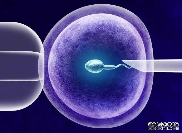 石家庄始基子宫患者做试管最知名医院排名，附2022试管费用一览表-如何从费用明细看试管婴儿冻了几管