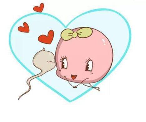 沈阳盛京试管 沈阳妇幼医院的第三代试管婴儿费用 ‘十周做b超看数值能看出男孩女孩吗’