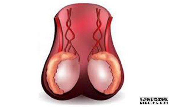 杭州借卵试管资讯 杭州生育津贴领取时间有限制吗？ ‘nt是1.0是男孩还是女孩’