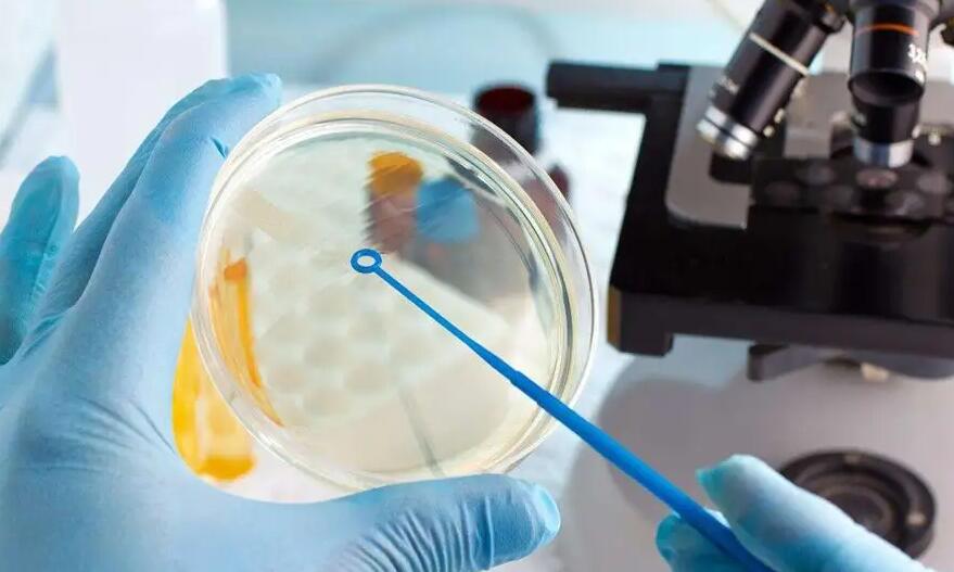 广州第三代试管 广州市第一人民医院试管婴儿的成功率: ‘b超如何测男女’