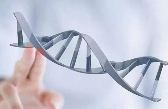 宁波做试管好吗 2023宁波试管婴儿医院排名,附试管成功率、费用参考 ‘营口伊人26周四维看男女准么’