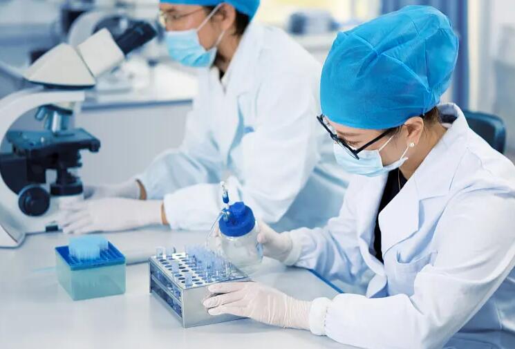 合肥试管费用表 合肥105试管婴儿成功率？第三代试管婴儿成功率最高？ ‘b超显示81天看出来男孩多’