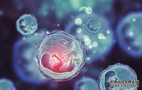 无锡供卵试管过程 无锡口碑好试管医院 ‘b超如何测男女’