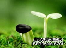 85520_2022河北生殖医院试管婴儿成功率一览,附试管成功经验分享