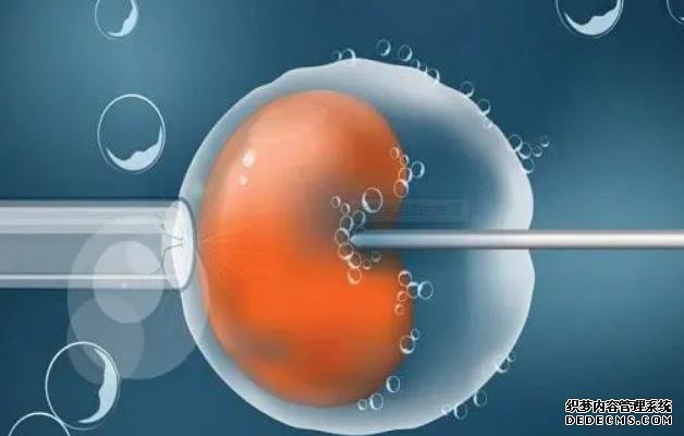 一文解读强的松保胎的原理,强的松的这5大功效不可不知