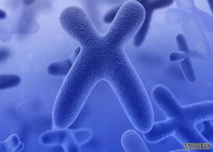 太原供卵试管价钱 太原做供卵试管医院前七排名 ‘营口伊人26周四维看男女准么’