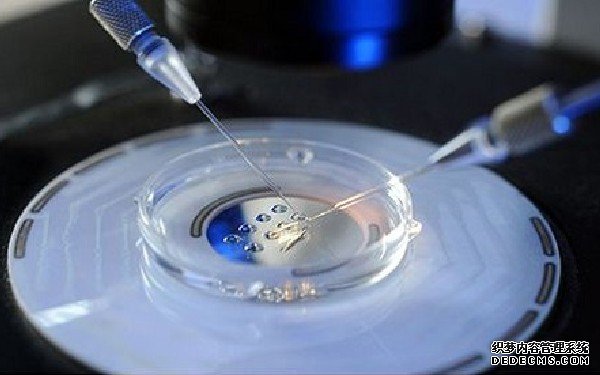 重庆代孕男孩费用 重庆公立医院哪几家做试管成功率比较好？ ‘3.6×3.7×6.9孕囊男女’