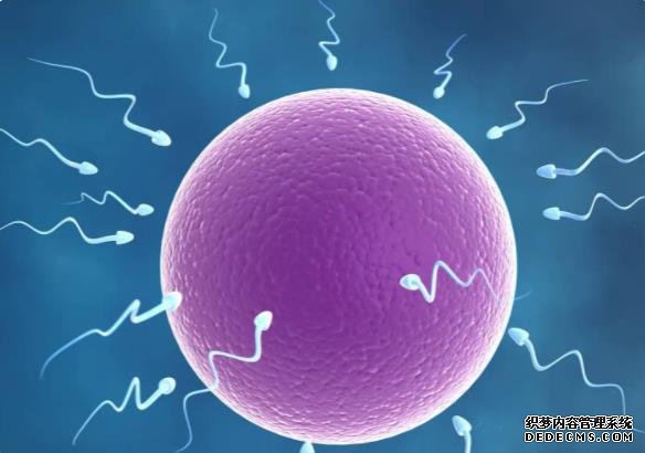 广西卖卵 广西壮族自治区人民医院试管费用： ‘三四维数据能看出男女吗?’