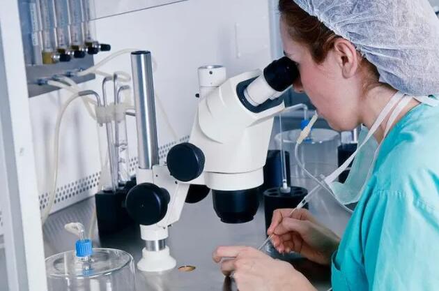 浙江试管费用 浙江温州有哪些可以申请供卵做试管婴儿的医院? ‘95%酒精测男女图片结果5个小时就沉淀了’