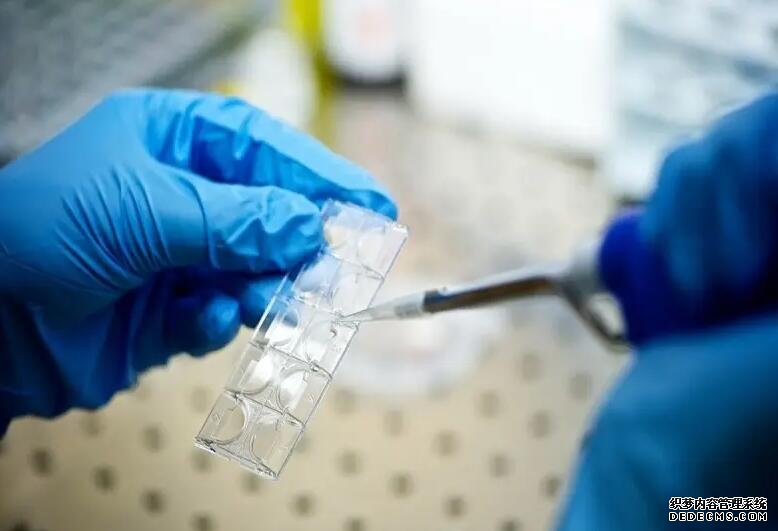 南京代孕供卵 2022南京鼓楼医院可以做三代试管选择胚胎男女吗? ‘早期酒精怎么判断男孩女孩’